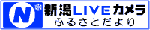 新潟LIVEカメラ